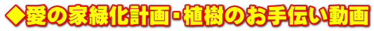 ̉ƗΉvEÂ`