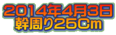 2014N43 25Cm