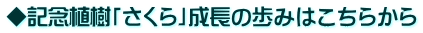 LOAuv݂͂̕炩