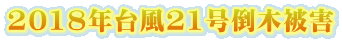 2018N䕗21|ؔQ