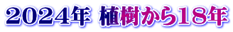 2024N A18N