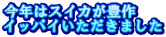 N̓XCJL CbpC܂