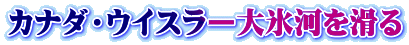 Ji_EECX[X͂