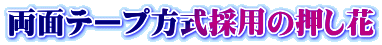 ʃe[v̗p̉